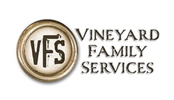 VFS-Main-logo-site